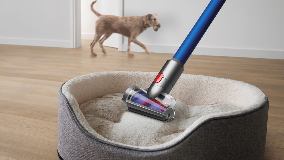 Dyson V15 Detect vs Dyson V11 Which cordless vacuum is best for you