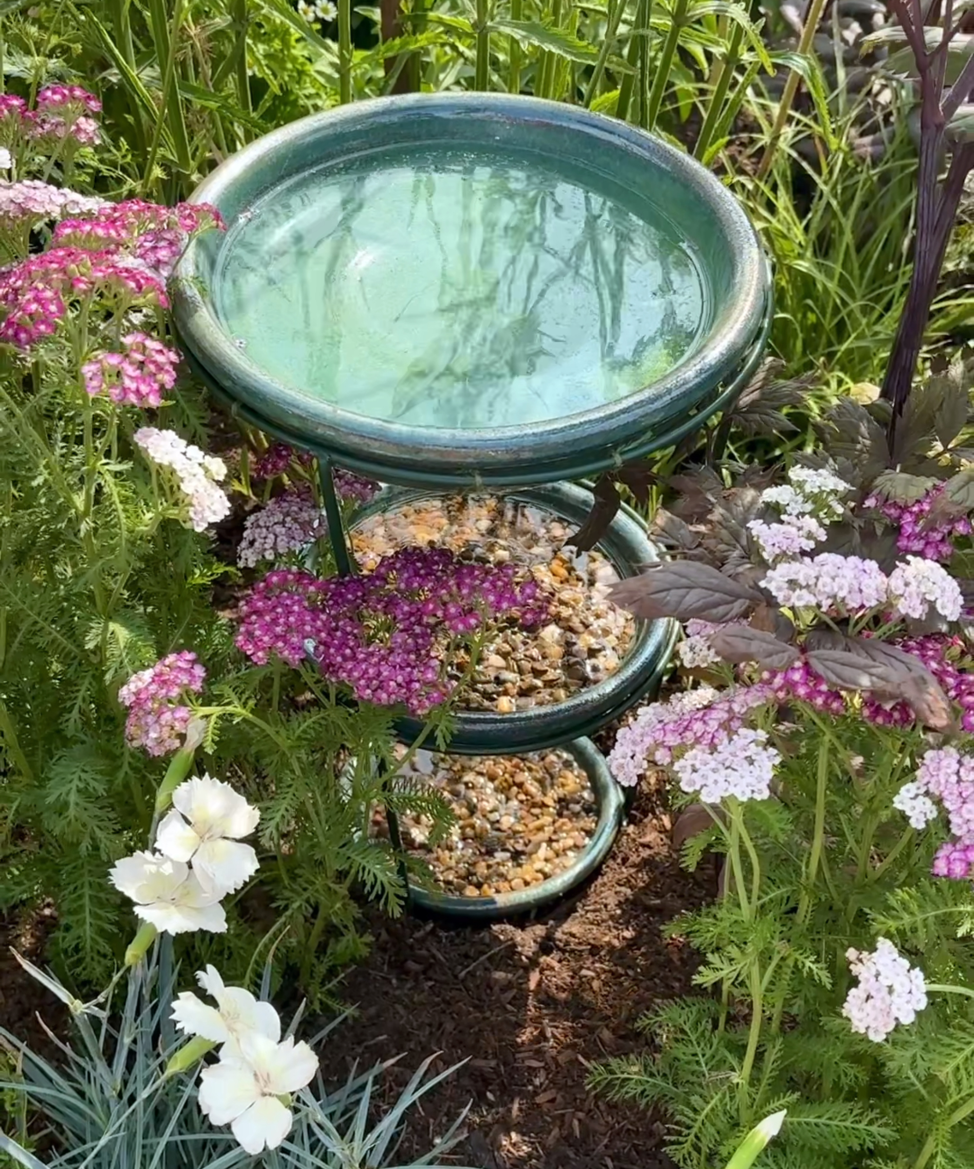 bird bath and insect drinking station
