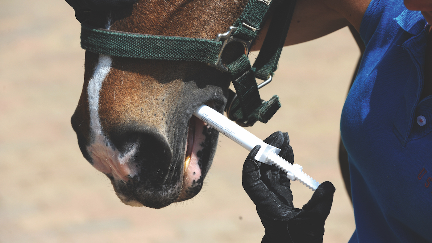 Pictured a horse being treated with an equine wormer.