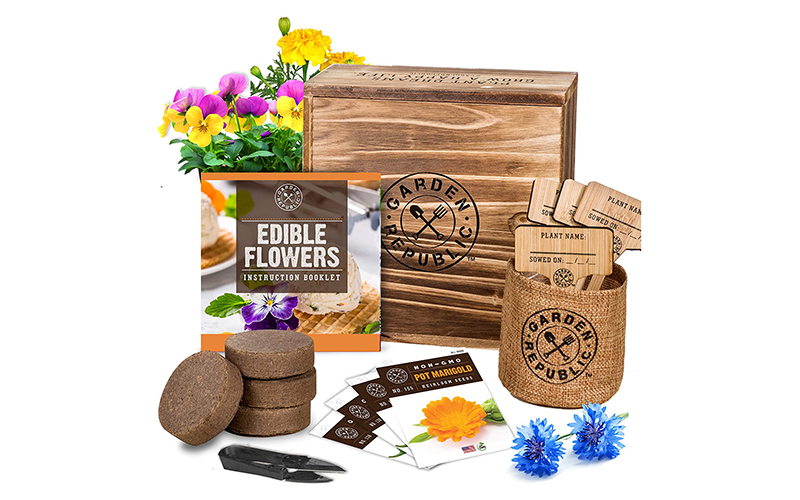 Edible Flowers Indoor Garden Seed Starter Kit