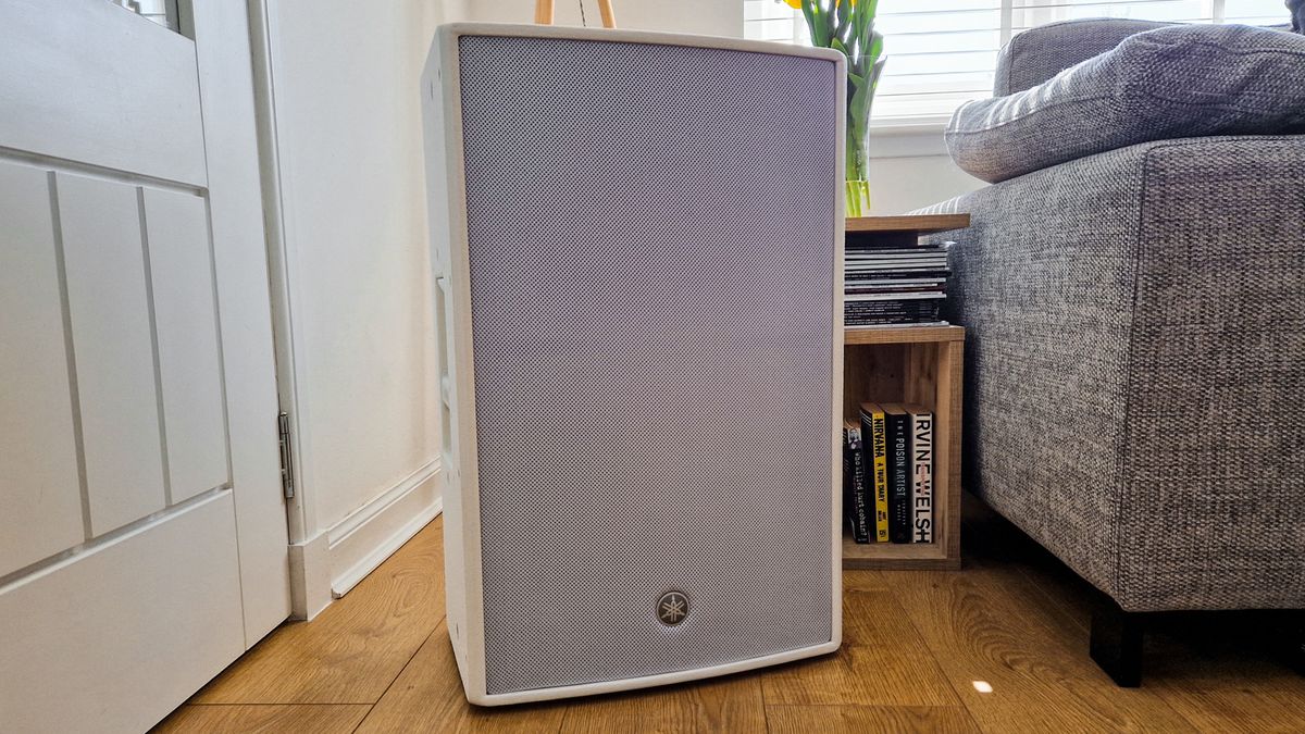 Yamaha DZR12-D review