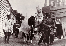 1-pharlap.jpg