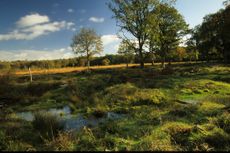 Hampshire and Isle of Wight Wildlife Trust