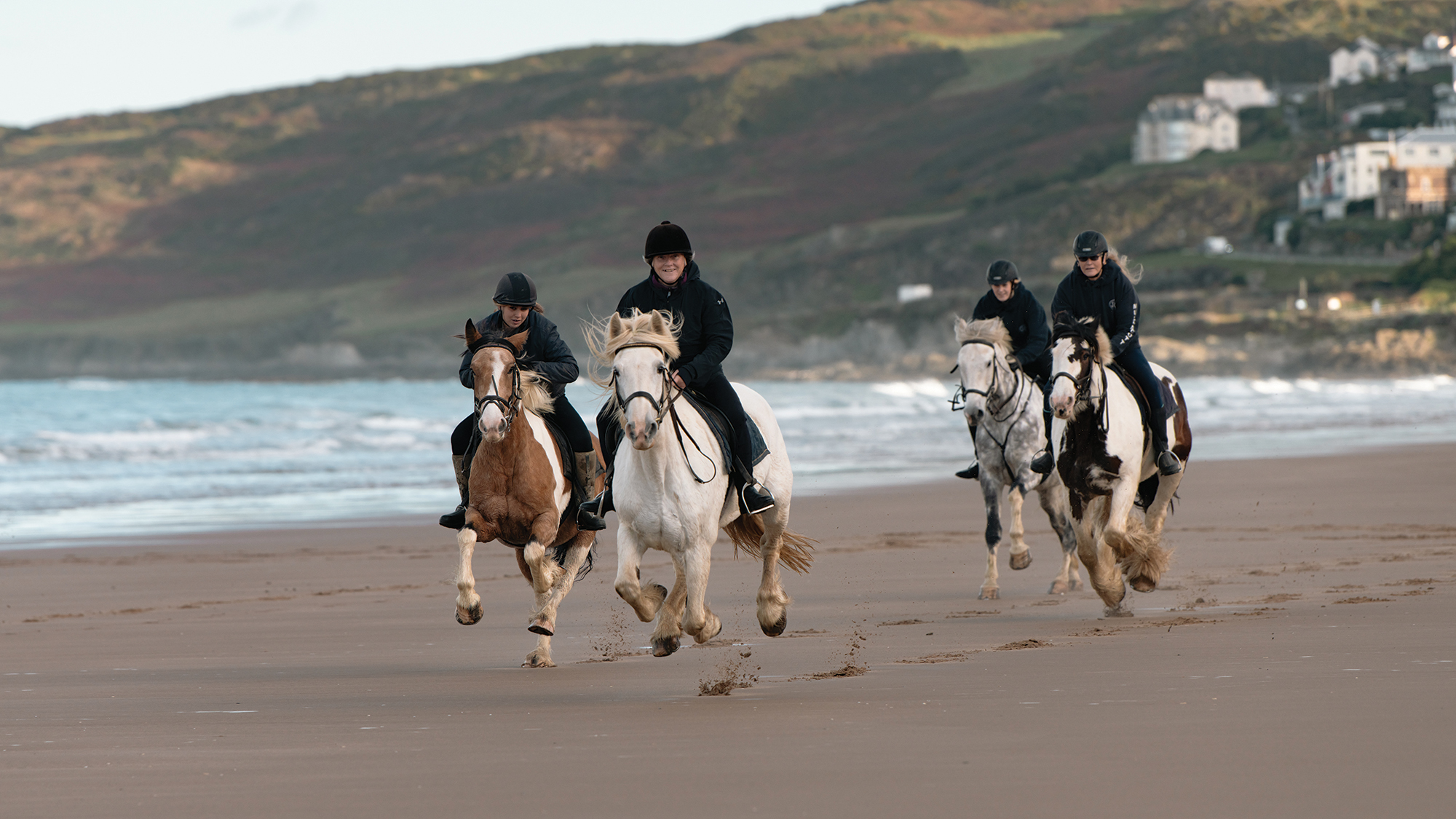Four riding school horses enjoy cantering along a beach