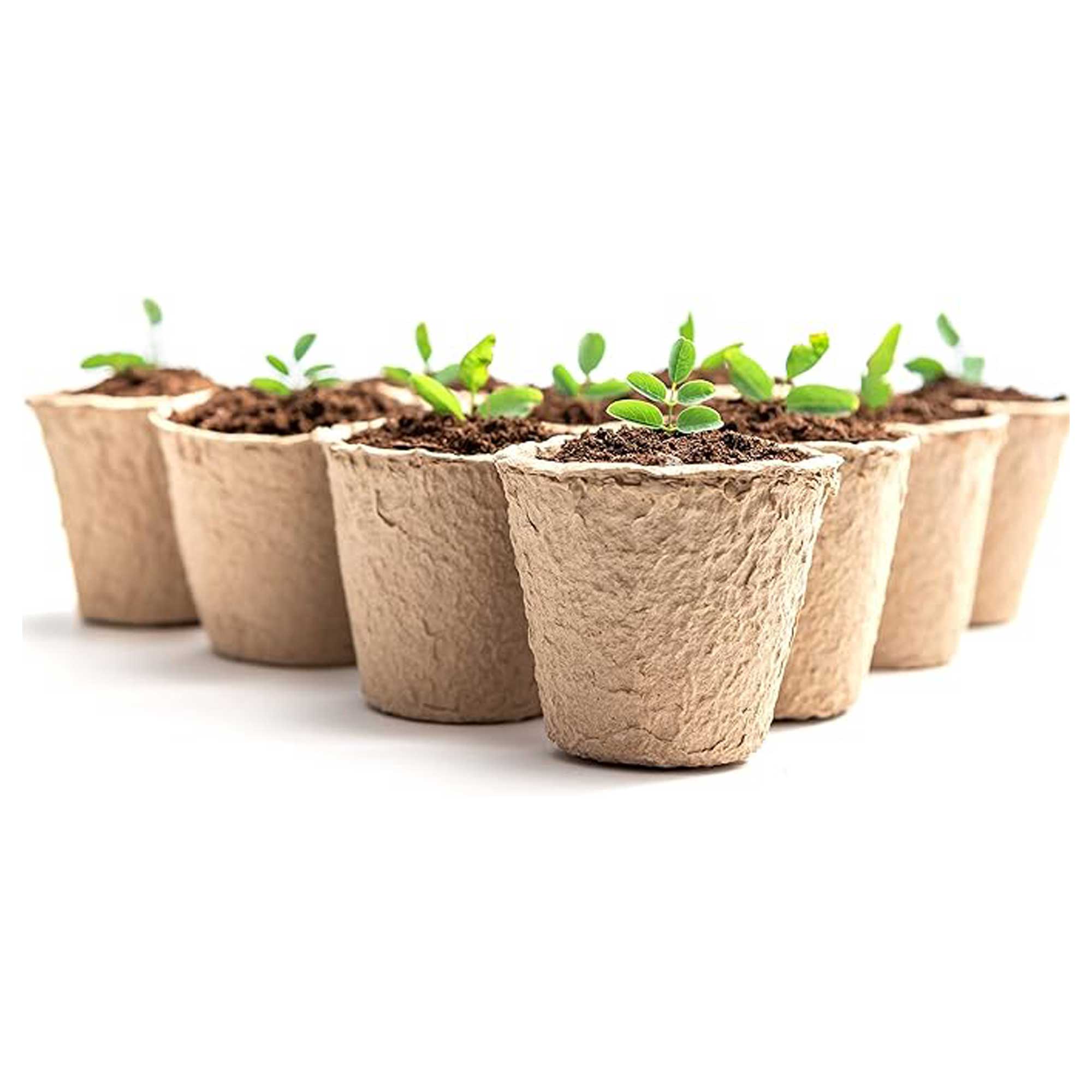 Keplin biodegradable seedling pods