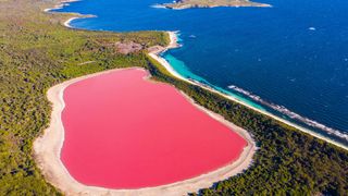 The pink Lake Hillier in Australia