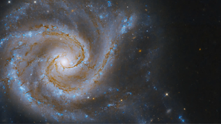 a white and light blue spiral of gas in space surrounded by stars