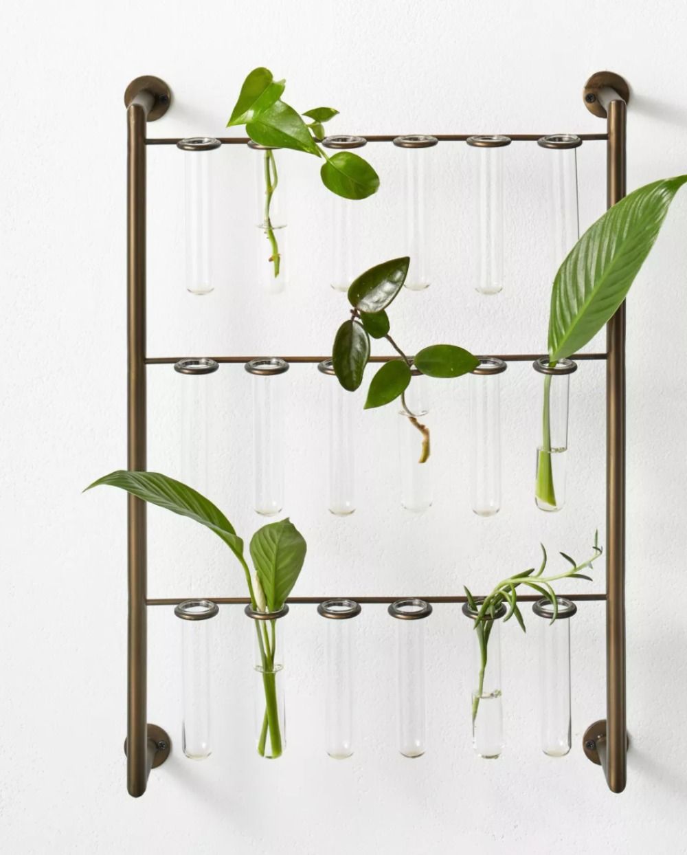 The Hilton Carter x Target collection is a plant-lovers drea | Real Homes