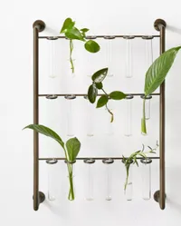 22.5" x 3.5" Metal Hanging Stem Plant Stand - Hilton Carter for Target for $50, at Target