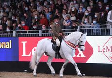 BSPS&nbsp;supreme Heritage Mountain and Moorland ridden championship