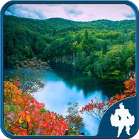 Lake Jigsaw Puzzles