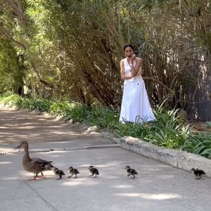 Meghan Markle wearing a white dress watching geese cross the road