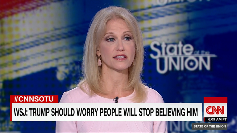 Kellyanne Conway on CNN