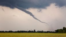 tornado in Arkansas