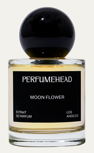 Perfumehead moon flower