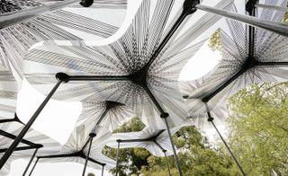 the canopy of Amanda Levete's brand new MPavilion in Melborune made with 52 resin petals