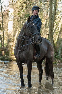Denman-in-river.jpeg