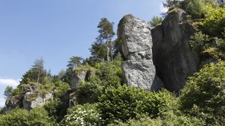 A view of an outcrop in Germany's Frankenjura