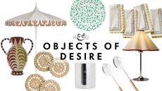 Objects of Desire