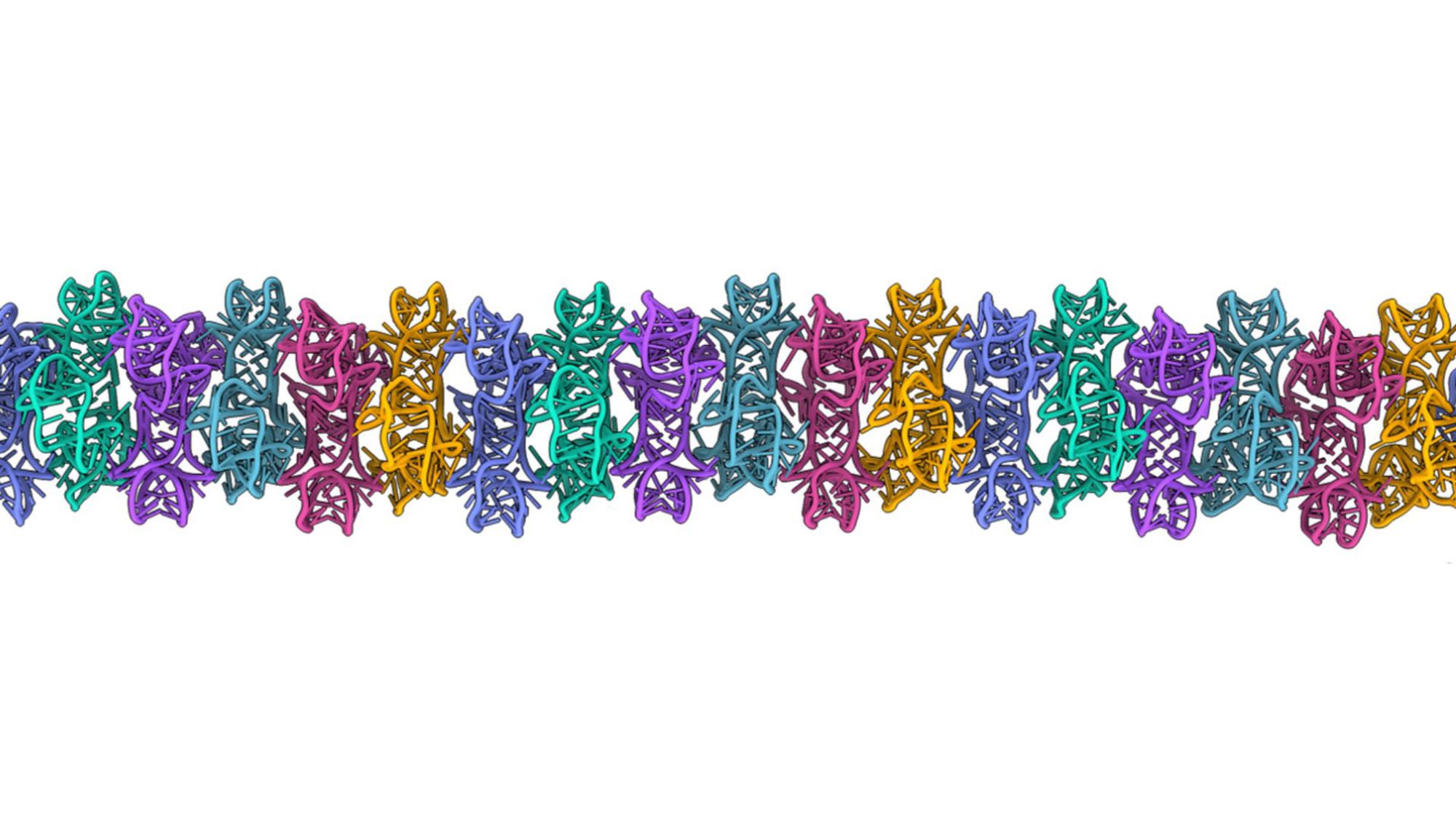 RNA can form large 3D structures, suggesting a new role for the molecule in the origin of life on Earth RNA can form large 3D structures, suggesting a new role for the molecule in the origin of life on Earth