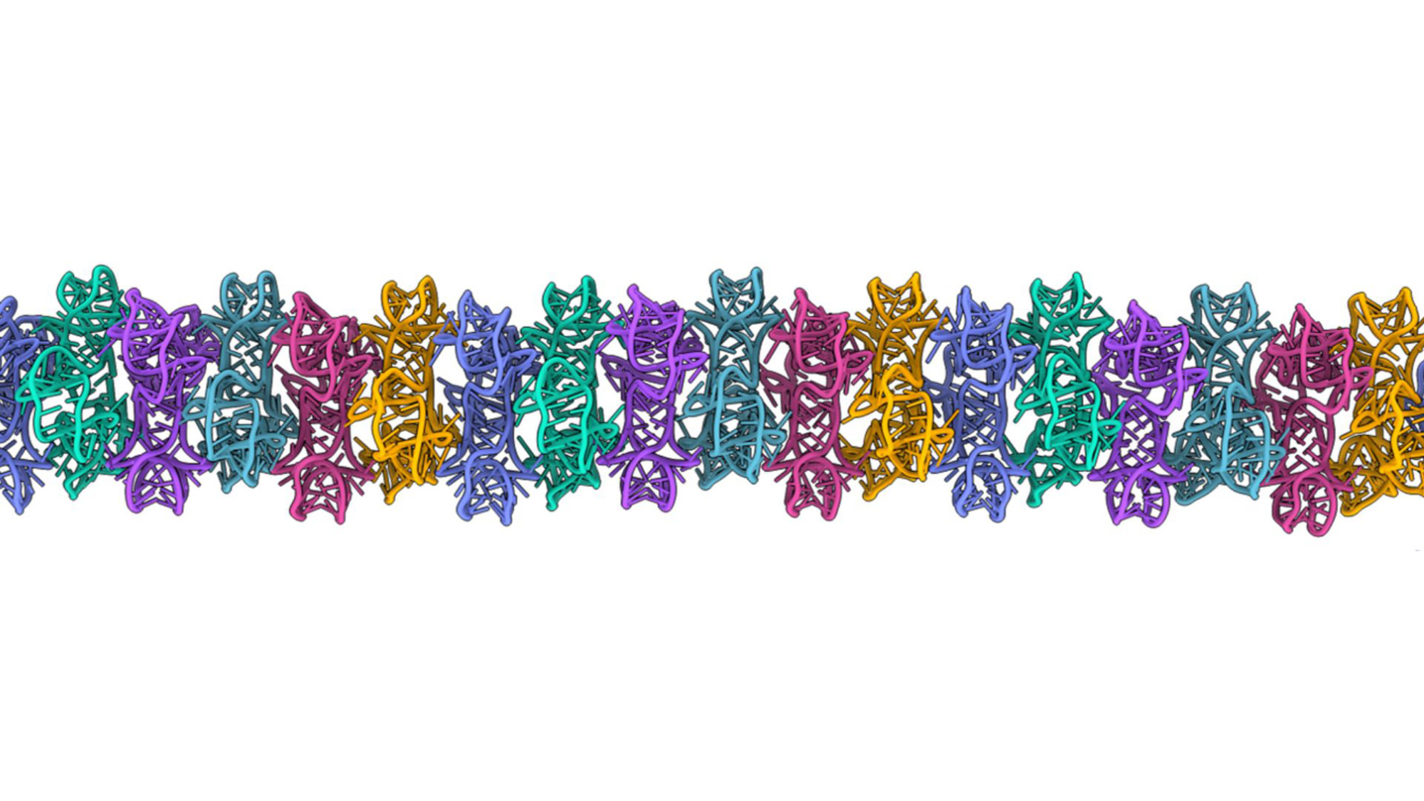 A colorful illustration of an RNA molecule folded