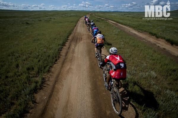 Lead pack rolling through the grasslands
