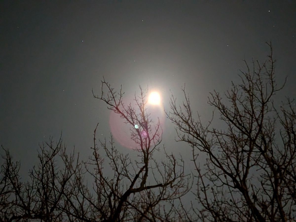 Pixel 9a astrophotography handheld.