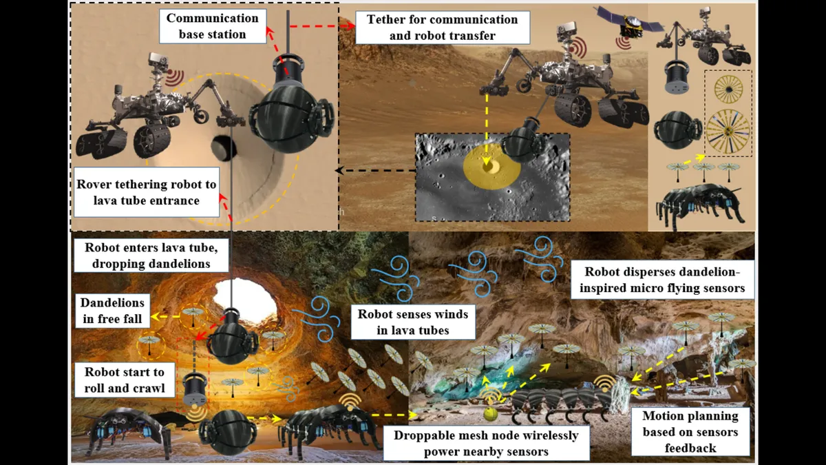 Post image 5