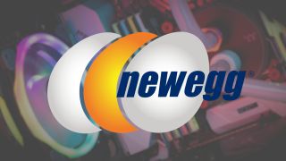 Newegg logo on background of RGB PC parts