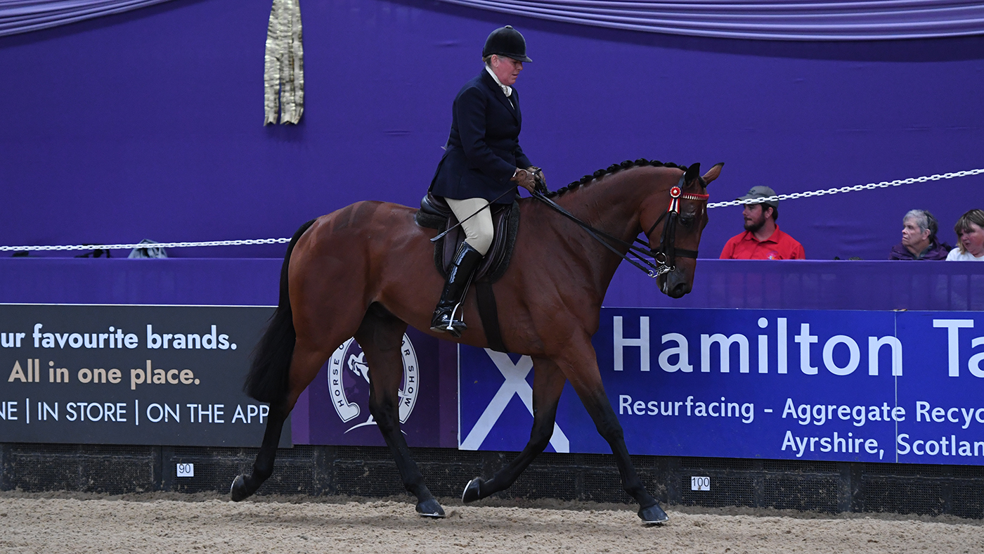 First Receiver wins the SEIB Racehorse to Riding Horse of the Year at HOYS