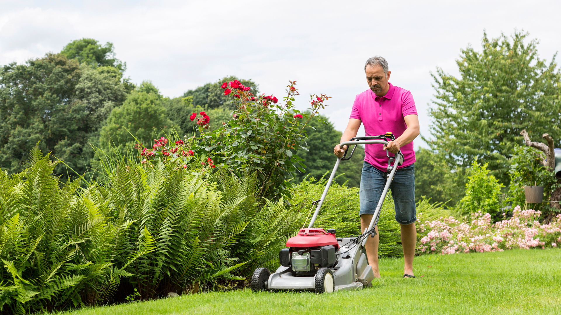 A man mowing the lawn in summer