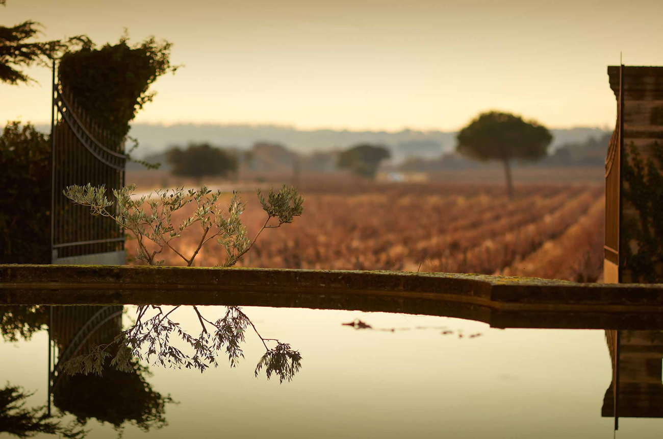 White Ch&acirc;teauneuf-du-Pape