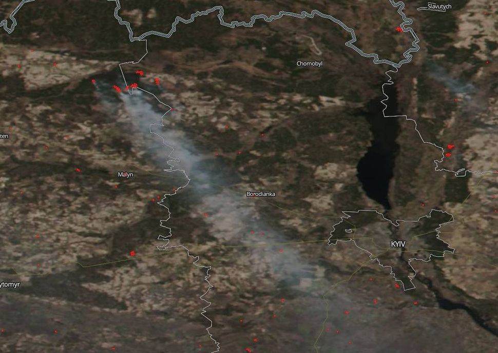 Chernobyl forest wildfire seen from space as radiation spikes (photo)