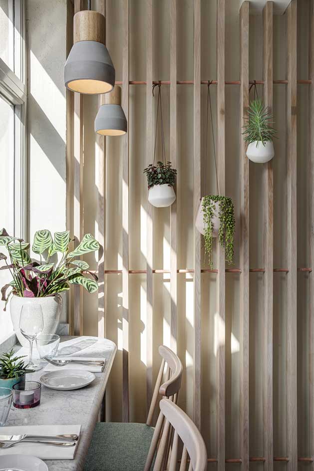 Plants are kept under sunlight
