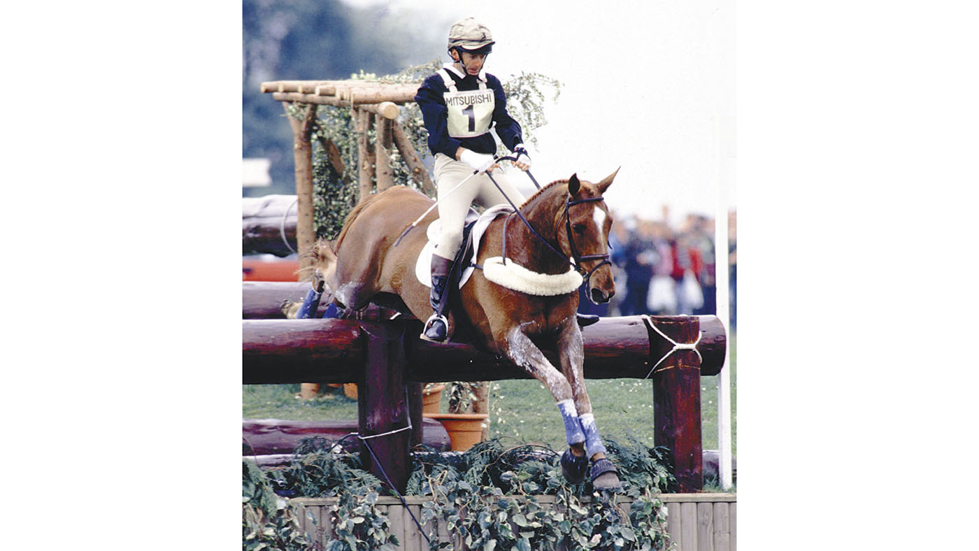 Mr M Todd&amp;amp;Horton Point