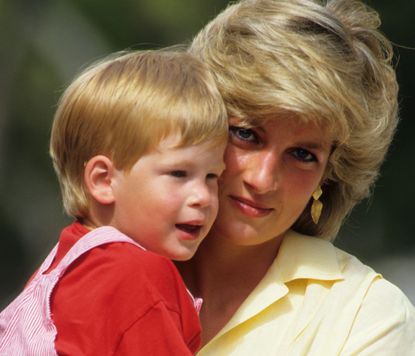 Princess Diana Prince Harry