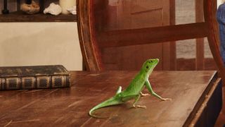 Harry the Lizard in Death in Paradise