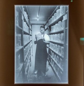 The Harley Gallery – Clare Twomey's lithophanes, part of The Grand Tour