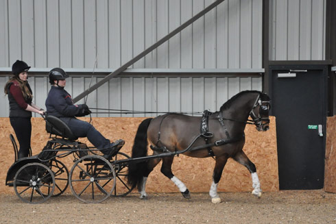 Emily Ham and Mr J doing indoor dressage