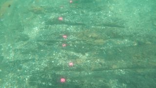 A photo of details of the shipwreck underwater