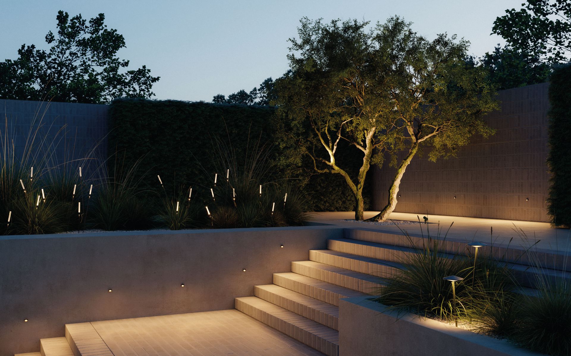 garden lit up at night