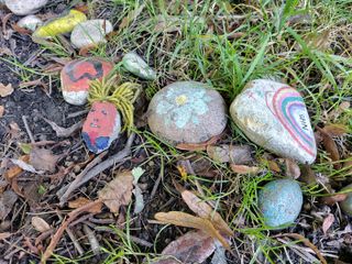 Samsung Galaxy S10 Lite camera sample