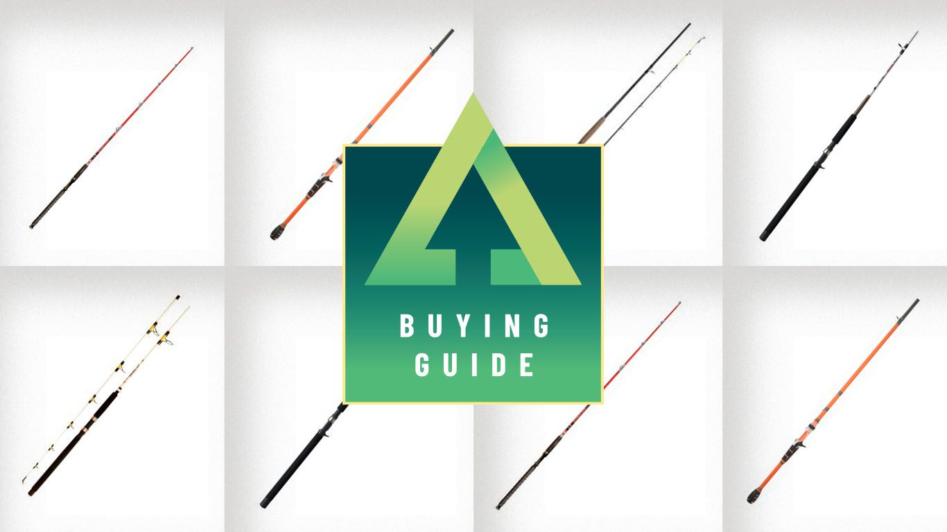 Best catfish rods 2023 for catfish of all sizes Advnture