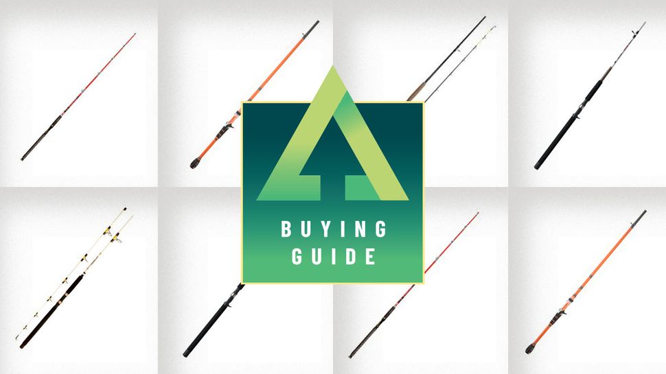 Best catfish rods 2024 the perfect poles to catch catfish of all sizes