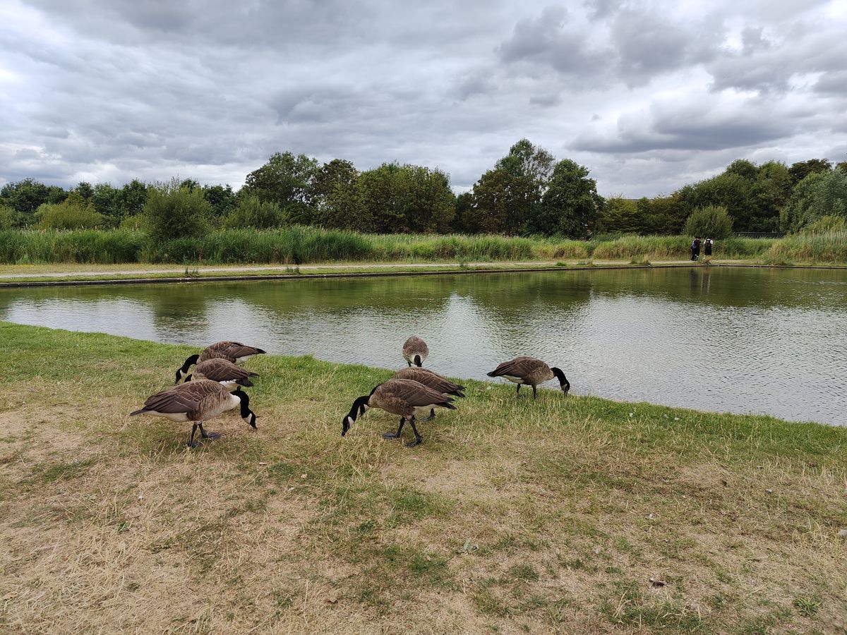 A photo captured on the OnePlus 10T smartphone