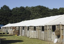 temporary_stabling-hr.jpg