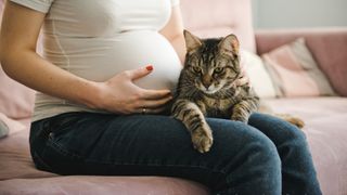 Pregnant Woman With Cat Relaxing At Home