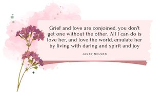 Quote about grief by Jandy Nelson