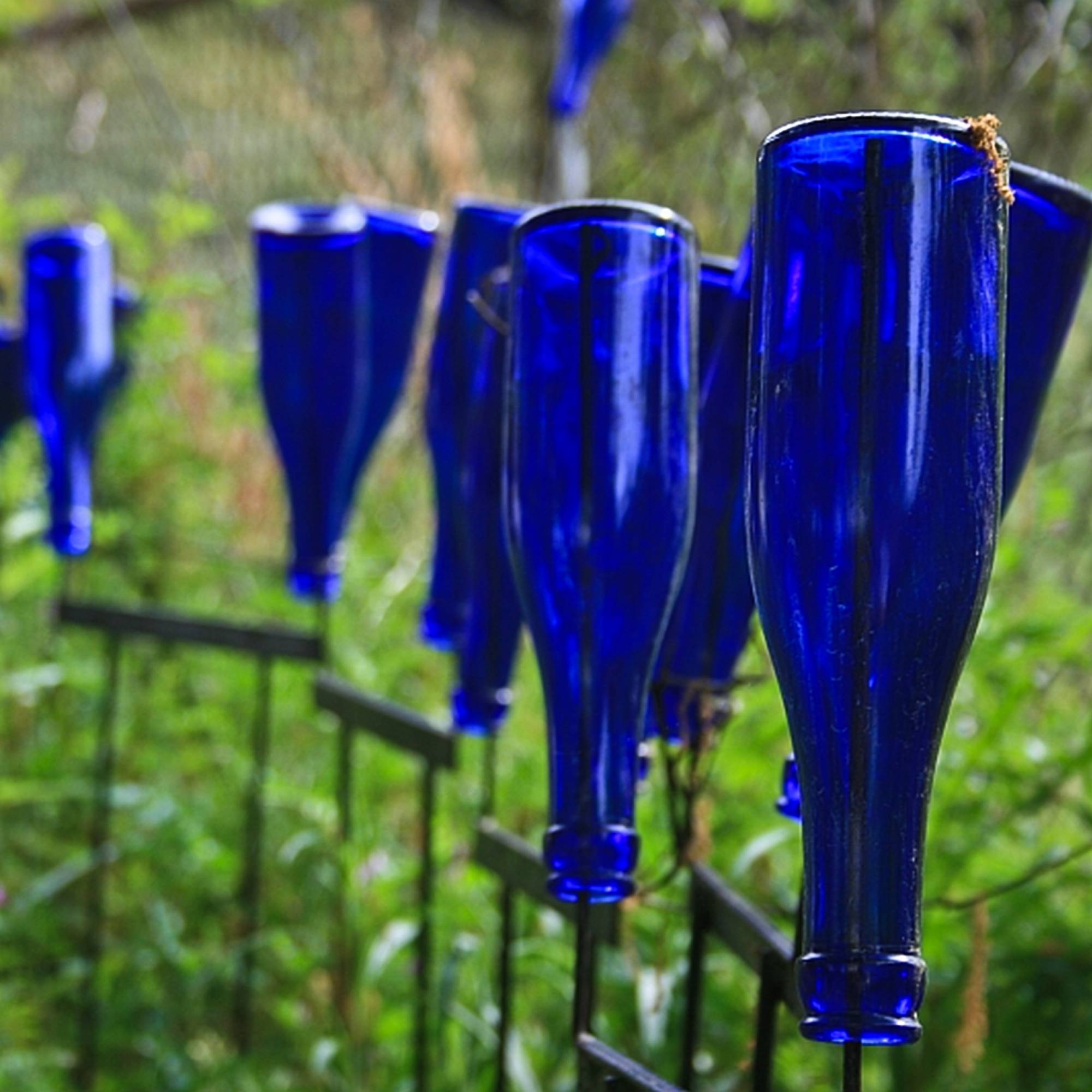 Several blue glass bottles upside down in a garden