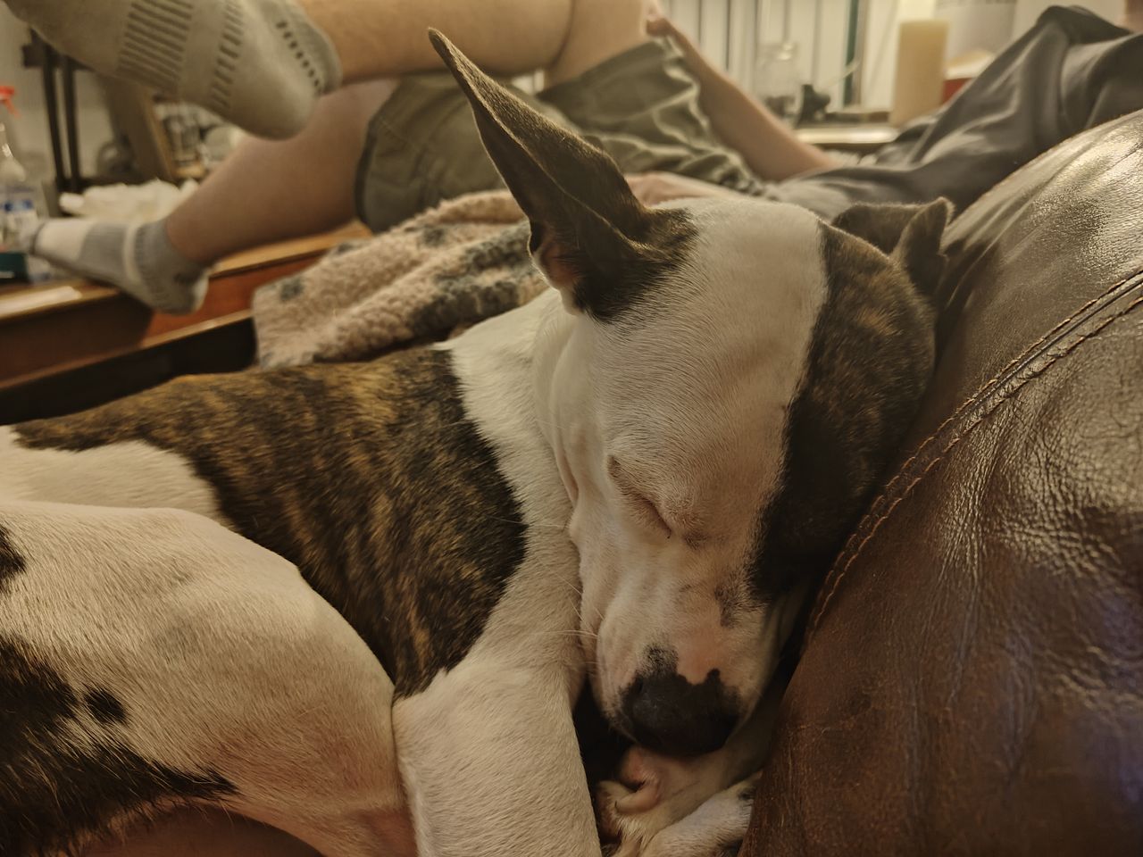 Sample photos taken with OnePlus 11